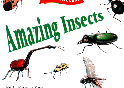 AMAZING INSECTS cover cropped